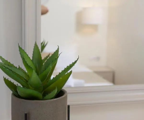 酒店 Magdalena 佩科霍里