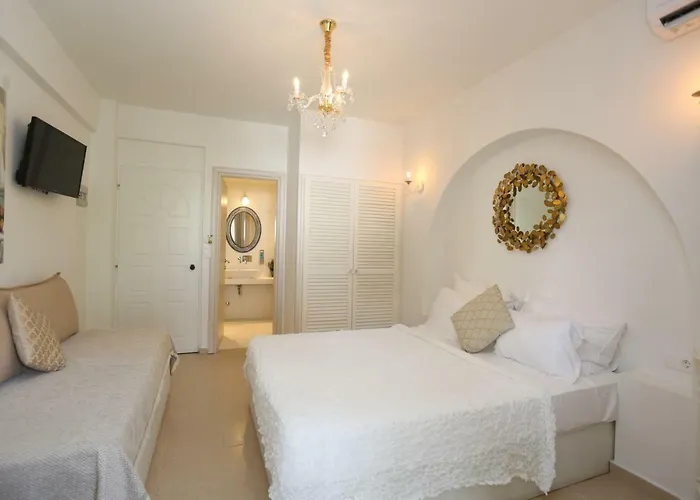 Отель Magdalena 2*